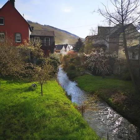 Apartment Moseltraeubchen Enkirch