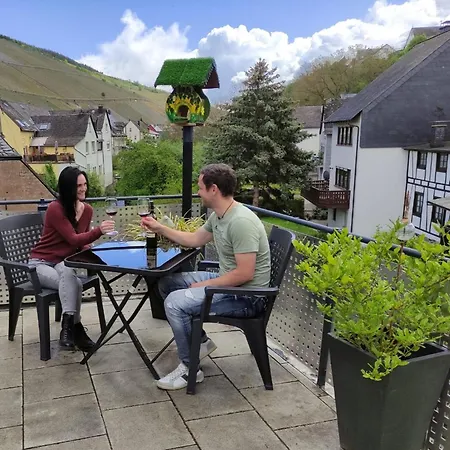 Moseltraeubchen Appartement Enkirch